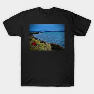 Tobermory Lighthouse Poppies T-Shirt